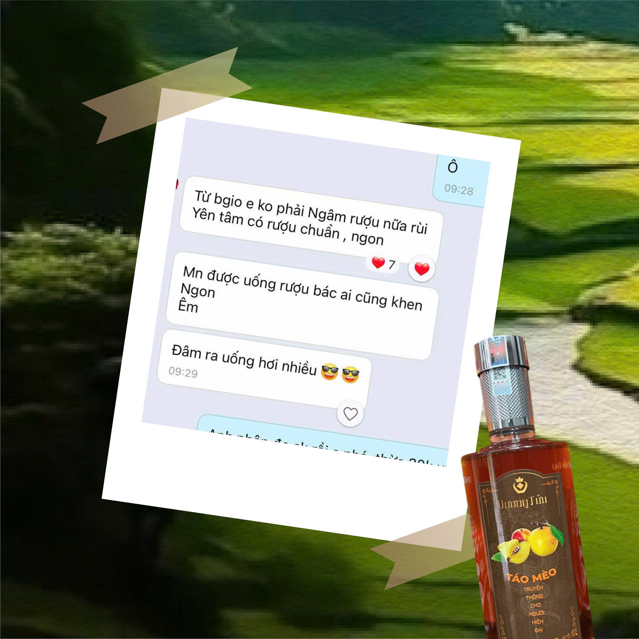 Hương Thảo